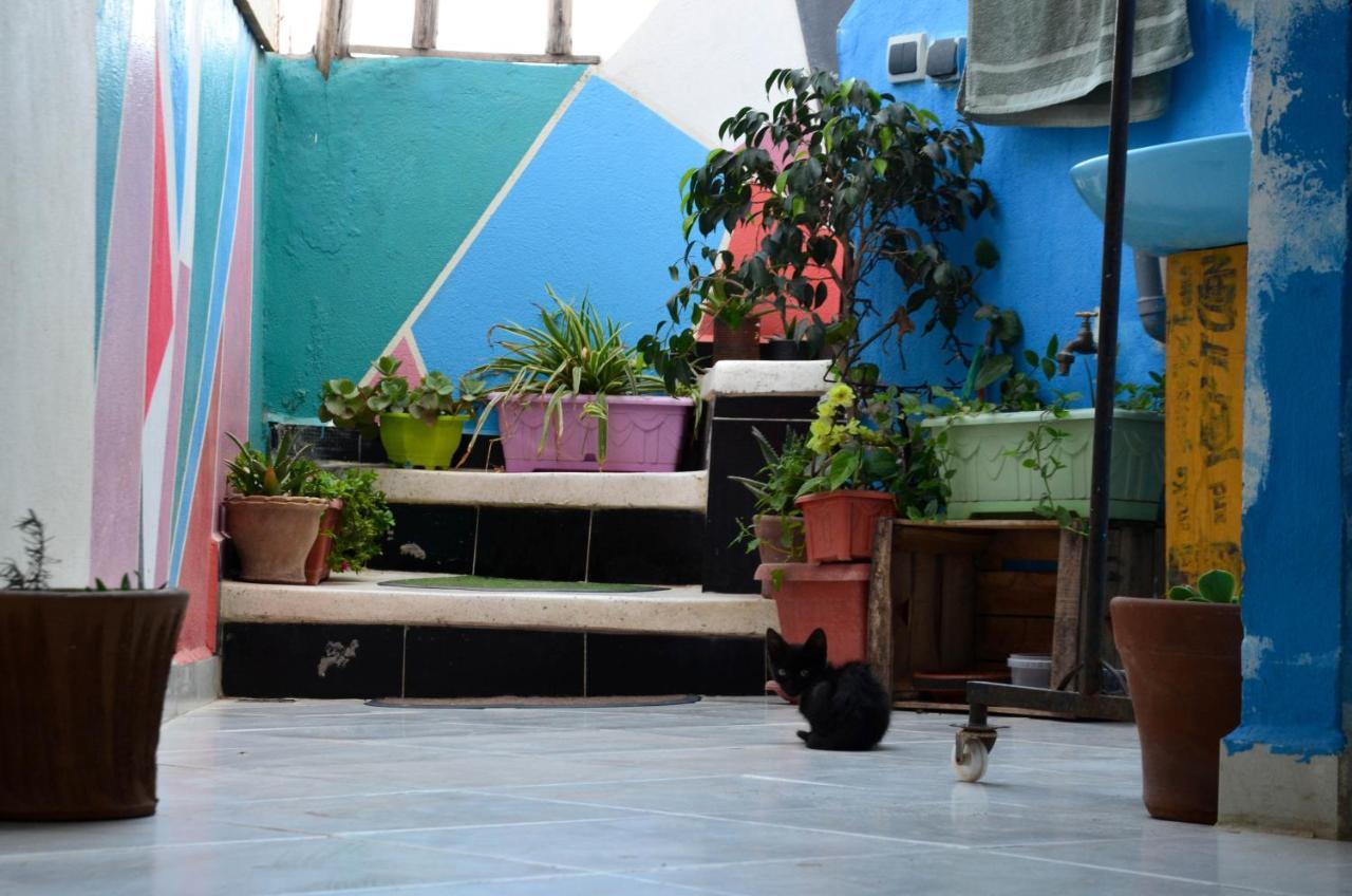 Tayought Surf Hostel タガズー エクステリア 写真