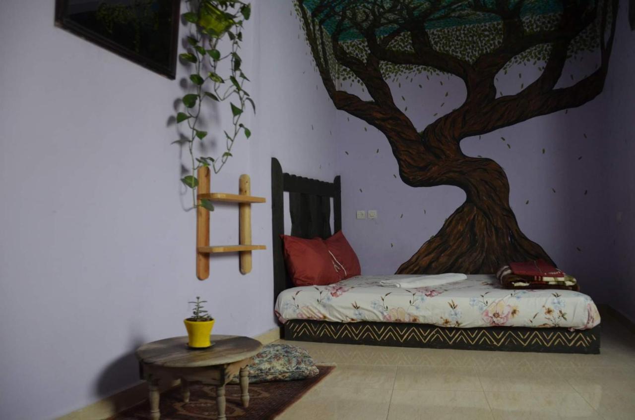 Tayought Surf Hostel タガズー 部屋 写真